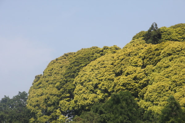 ushiku_184